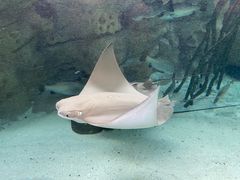 -珠海长隆海洋王国