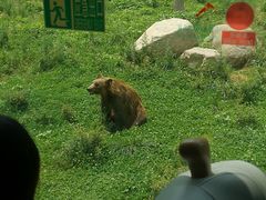 -西安秦岭野生动物园
