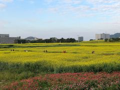 -光明小镇欢乐田园