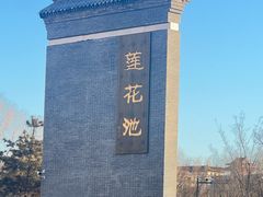 -莲花池公园