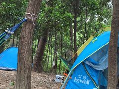 -铁山坪森林公园