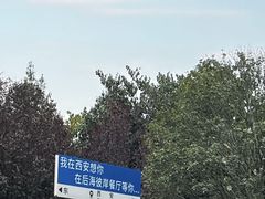 -后海彼岸花园餐厅