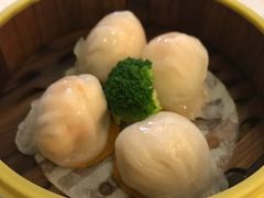 -东方之珠海鲜酒楼(南开店)