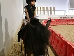 -李振强马术运动推广中心(南城店)