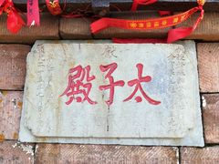 -芦芽山旅游度假区