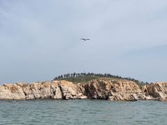 -龙爪山国家地质公园