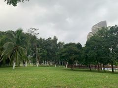 -万绿园
