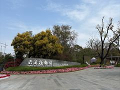 -云溪植物园