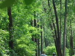 -秦皇岛野生动物园