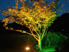 -花溪公园