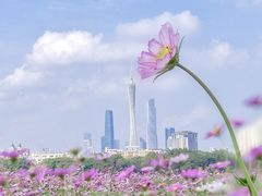 -海珠湖公园