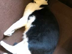 -猫的天空之城概念书店(杭州南宋御街店)