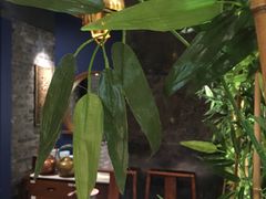 -东来顺饭庄(apm总店)
