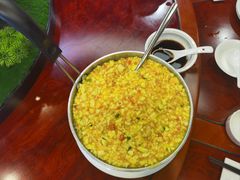 -丁老爷子苏香圆