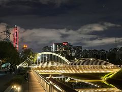 -福田红树林生态公园