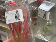 -宜家家居(高新商场店)