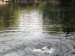 -百脉泉景区