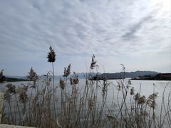 -晓琦农家菜馆·地道农家菜