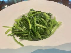 清炒小白菜-聚缘堂·海鲜私房菜(松岭路店)