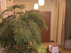 -筋骨堂热敷推拿按摩(枫林绿洲店)