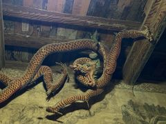 -张掖大佛寺景区