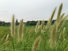 -良渚古城遗址公园