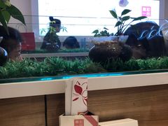 -嘉和一品粥(津华昌道店)
