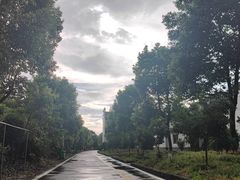 -广州市流溪河国家森林公园