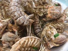 -渔中舟海鲜大排档(普陀沈家门店)