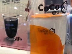 鲜芋奶茶-CoCo都可(金狮店)