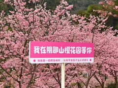 -灵光寺