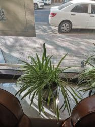 -M+hair salon专业造型沙龙