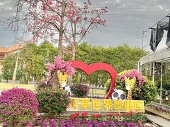 -广东花都香草世界旅游度假区