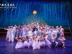 -中央芭蕾舞团·中芭艺蕾(酒仙桥明星校区)