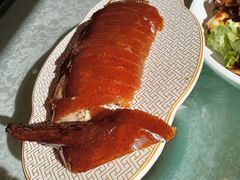 -正阳春烤鸭(华捷道店)