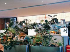 -桂满陇·蟹黄小笼汤包(巴黎春天浦建店)