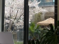 -喜马拉雅森(运河汇1958店)