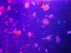 -欧亚达商业广场(红桥店)