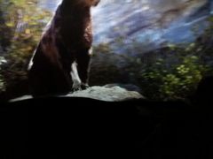 -万达影城(潍坊万达广场IMAX店)