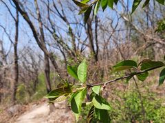 -沈阳辉山风景区