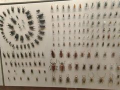 -上海昆虫博物馆