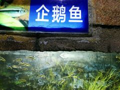 -南昌海洋公园