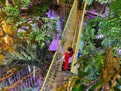 -正佳雨林生态植物园