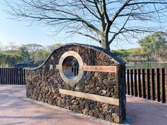 -王借岗森林公园