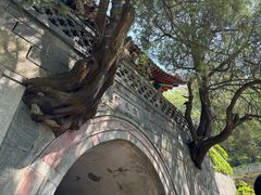 -泰山风景名胜区