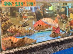 -聚福宝合苑食府(南头镇店)