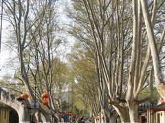-T80科技文化国际社区-停车场