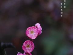 -尚贤河湿地