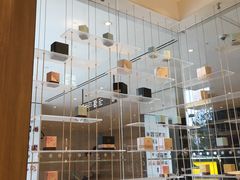 -奈雪的茶(国金中心店)