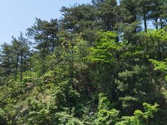 -庐山风景区花径公园